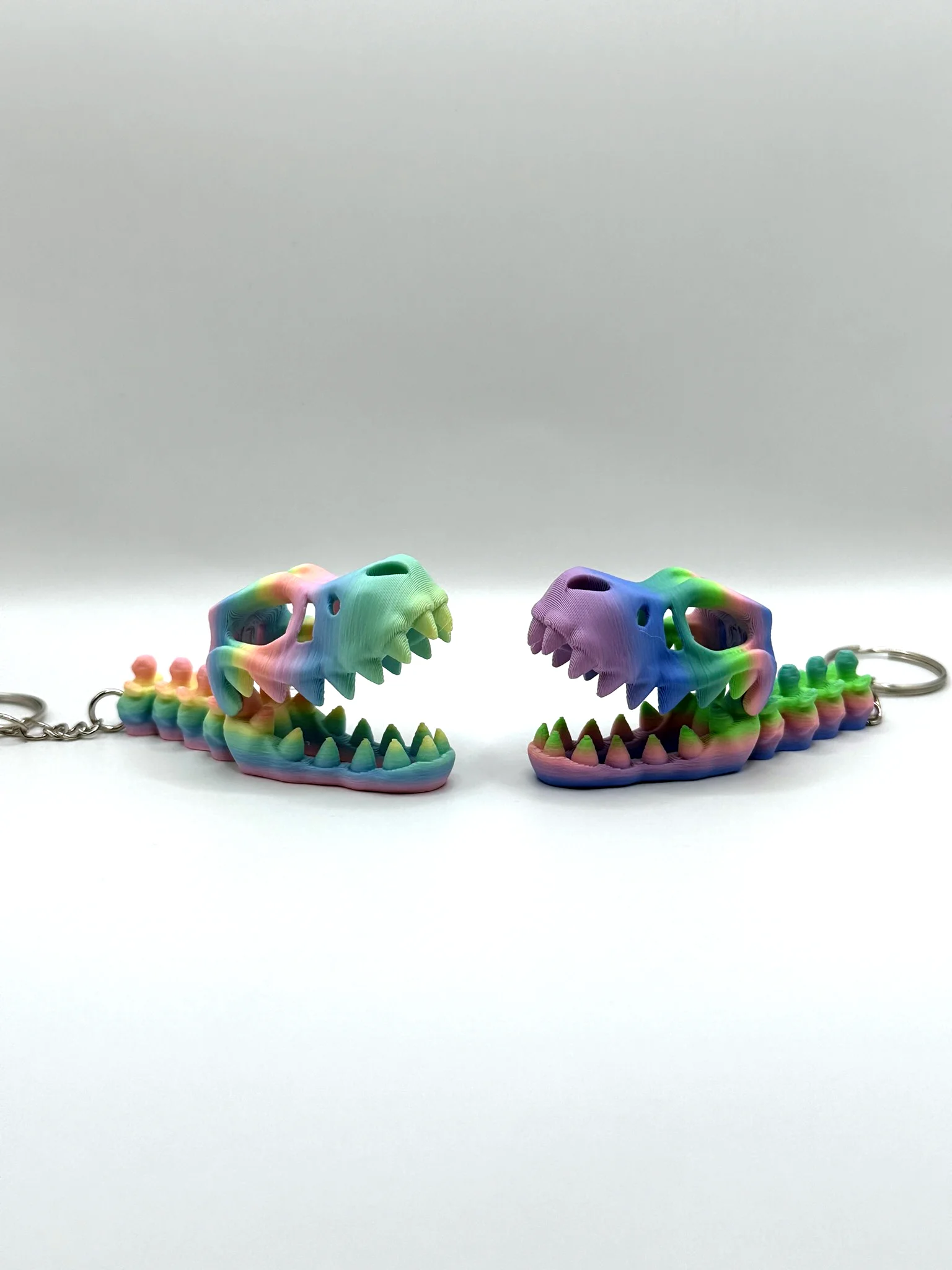Dinosaur Keyring Bundles