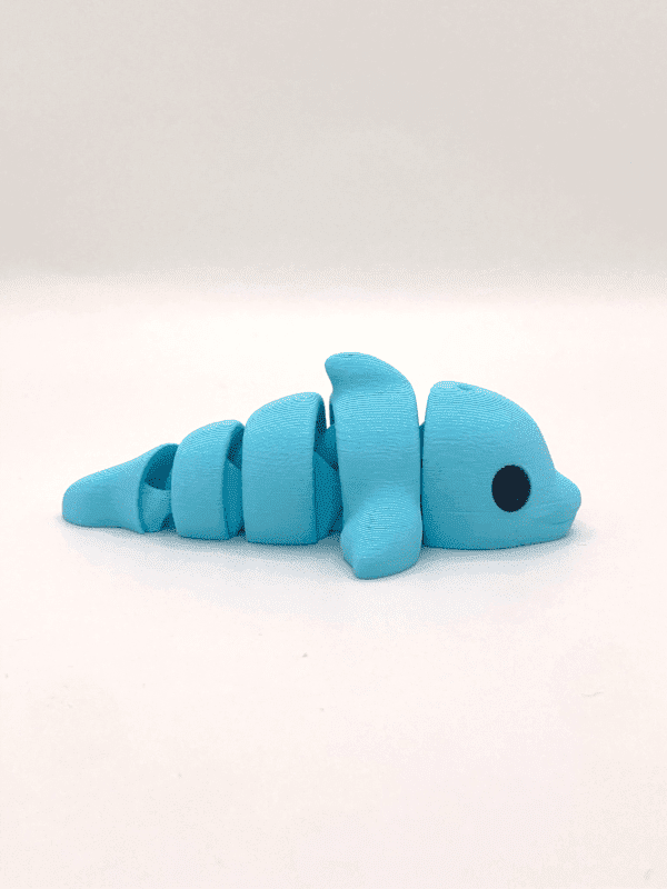 Splash The Dolphin - Image 2